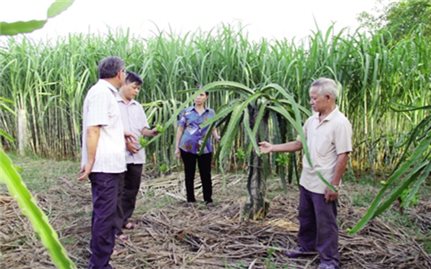 Vai trò tiên phong của Người có uy tín ở Thạch Thành