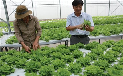 Khởi nghiệp làm giàu từ nông nghiệp: Nhìn từ các mô hình ở Bình Phước