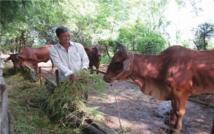 Muốn thoát nghèo phải lo tích lũy