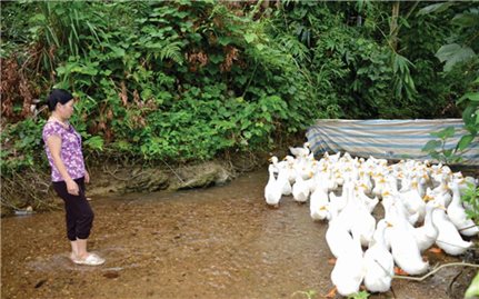 Giảm nghèo nhanh nhờ thực hiện hiệu quả chính sách dân tộc