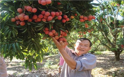 Người có uy tín huyện Lục Ngạn (tỉnh Bắc Giang): Góp sức xây dựng quê hương