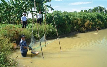 Khát vọng làm giàu trên cánh đồng trũng