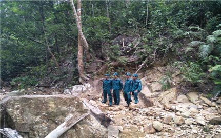 Đối mặt nhiều áp lực, nhân viên bảo vệ rừng đồng loạt xin nghỉ việc