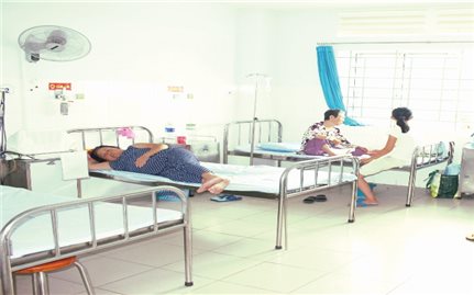 Không nên tự ý điều trị bệnh bằng lá cây