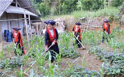 Sau 10 năm thực hiện Nghị quyết 26-NQ/TW: “Tam nông” có nhiều bứt phá