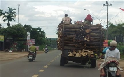 Hiểm họa từ xe công nông độ chế