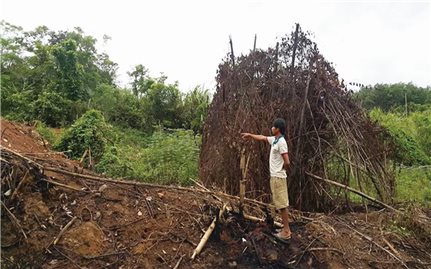 Người dân bản Khe Ngát (Quảng Bình): Hơn 30 năm định canh, định cư vẫn thiếu đất sản xuất