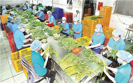 Mở đường nông sản Việt vào thị trường Trung Đông-châu Phi