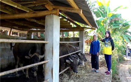 Si Ma Cai phát triển đảng viên người DTTS