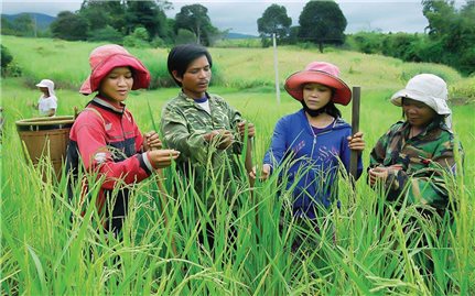 Phát triển vùng đồng bào DTTS: Bài toán khó mang tên “Việc làm”