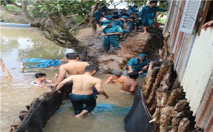 Đồng bằng Sông cửu Long: Thiệt hại nặng nề do triều cường