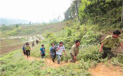 Lục Yên (Yên Bái): Nhiều biện pháp giữ rừng hiệu quả