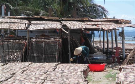Làng biển An Quang Tây: Ô nhiễm nặng vì nghề sơ chế mực xà