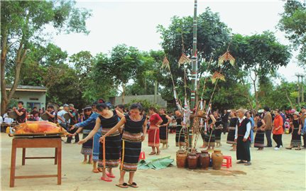 Nghệ nhân A Nol: Trăn trở giữ gìn văn hóa Xơ-đăng