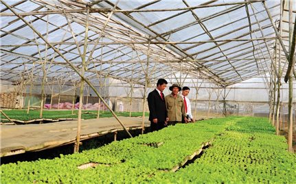 Ngân hàng Nông nghiệp và Phát triển nông thôn Việt Nam: Thực hiện an sinh xã hội là trách nhiệm của doanh nghiệp
