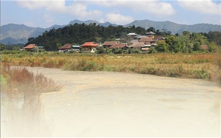 Điện Biên: Ô nhiễm môi trường từ chế biến dong riềng