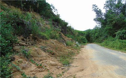 Bình Định: Chủ động phòng ngừa nguy cơ sạt lở đất, đá ở miền núi