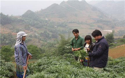 Thành tích giảm nghèo ở Si Ma Cai