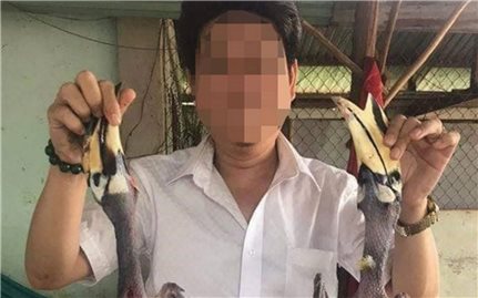 “Tòa án” mạng xã hội