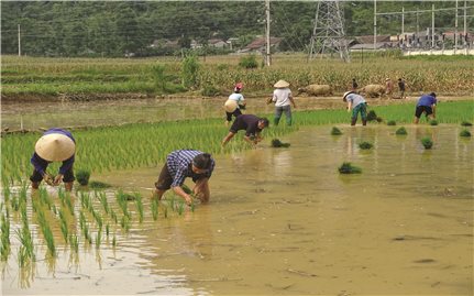 Cao Bằng: Để giữ chân lao động trẻ