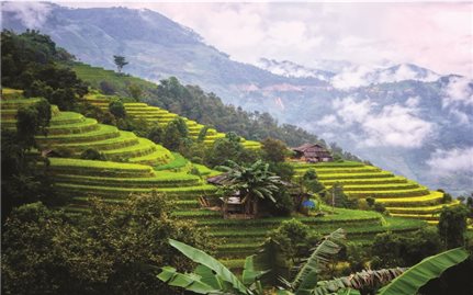 Gam màu sáng cho bức tranh kinh tế năm 2019