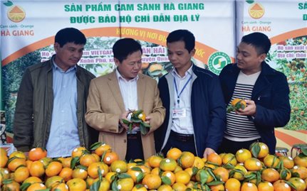 Hà Giang: Giá trị sản phẩm nông nghiệp tăng cao nhờ chỉ dẫn địa lý