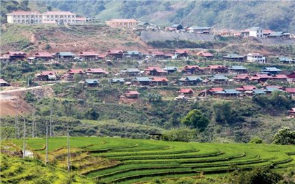 Lộc xuân nảy mầm trên đất khó