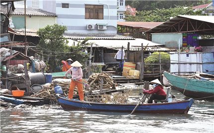Bà Rịa-Vũng Tàu: Báo động tình trạng ô nhiễm môi trường do rác thải