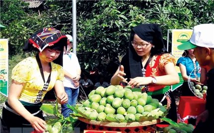 Những cánh én mang Xuân về
