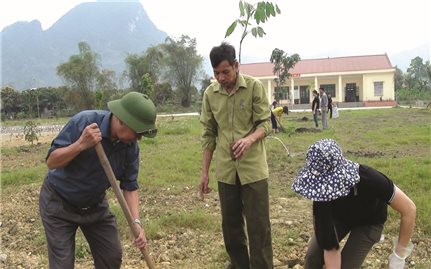 Lục Yên tích cực trồng rừng vụ xuân