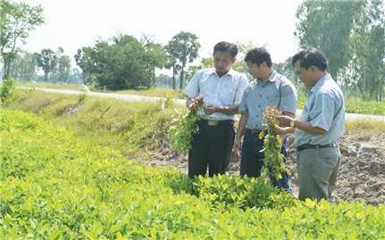 An giang: Hiệu quả chính sách dân tộc ở các huyện miền núi, biên giới