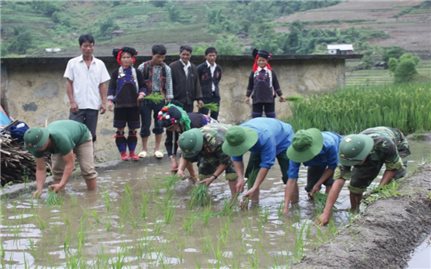Đoàn Kinh tế - Quốc phòng 356 (Lai Châu): Giúp dân phát triển kinh tế