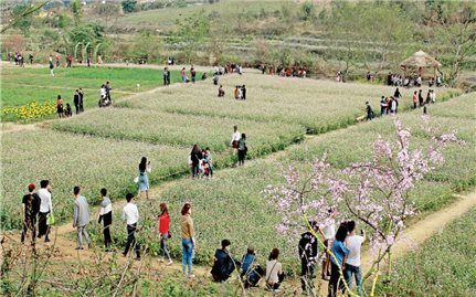 Đồng Luông nay vắng tiếng khèn