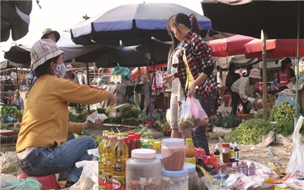 An sinh xã hội cho lao động tự do: Lỗ hổng lớn