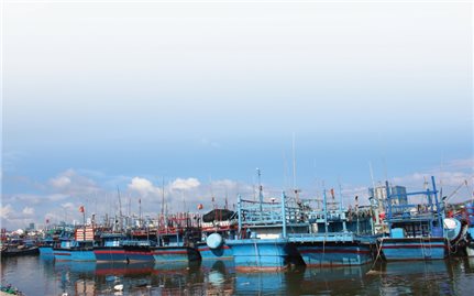 Lời giải nào cho sinh kế ngư dân?