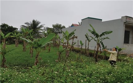 Tĩnh Gia (Thanh Hóa): Bất thường trong việc thu hồi đất