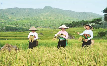 Bá Thước: Đoàn kết, phát huy nội lực phát triển bền vững