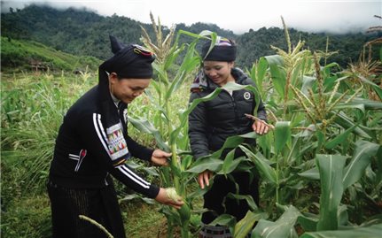 Bố trí vốn thực hiện chính sách dân tộc: Bài toán cần giải khi xây dựng chính sách