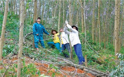 Ðưa điện lưới quốc gia về các làng đặc biệt khó khăn: Hiện thực hóa ước mơ của người dân