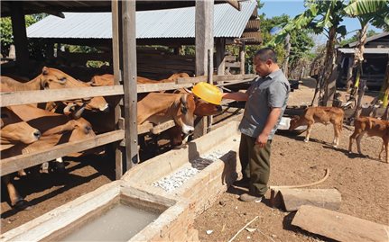 Cuộc sống mới ở Làng Thanh niên lập nghiệp Ia Lốp