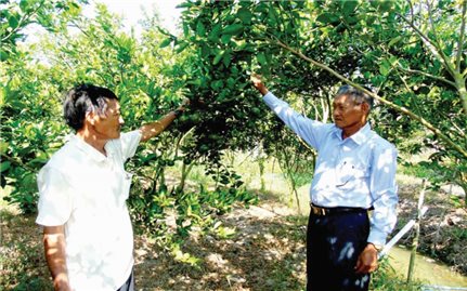 Trần Đề (Sóc Trăng): Phát huy vai trò Người có uy tín trong đồng bào DTTS