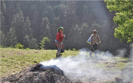 Lào Cai:  Tràn lan thuốc bảo vệ thực vật ngoài danh mục