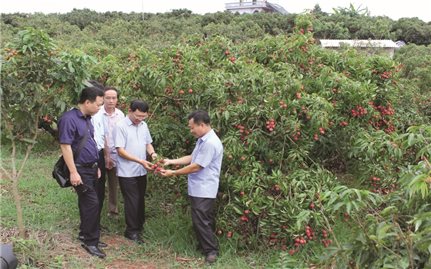 Bắc Giang: Đánh thức tiềm năng phát triển du lịch