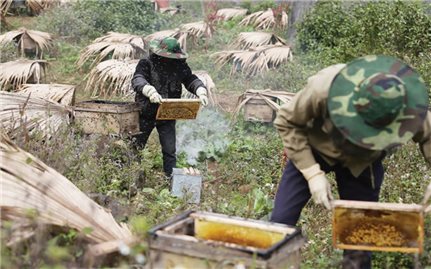 Hà Giang phát huy thế mạnh nông sản chủ lực