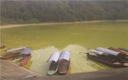 Thái Nguyên: Hồ Gò Miếu trước nguy cơ bị “bức tử”