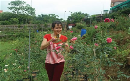 Say trong hương sắc hoa hồng