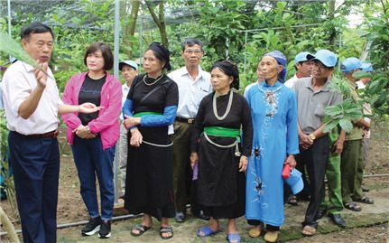 Phát huy vai trò Người có uy tín ở Yên Bái