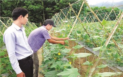 “Khuyến khích hộ nghèo tạo ra nhiều sản phẩm có giá trị”