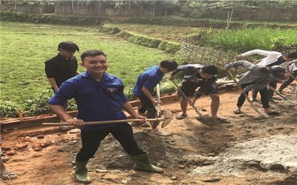 Thực hiện di chúc của Bác Hồ: Thanh niên Hà Giang xung kích khởi nghiệp