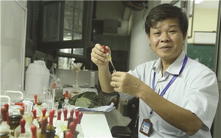 Đánh thức “mỏ vàng” dược liệu để giúp đồng bào thoát nghèo
